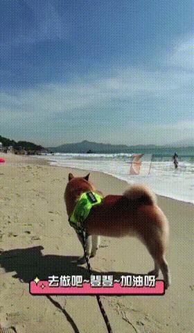 DƬ
